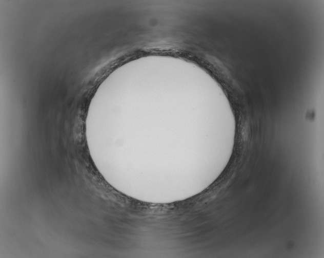 X0000115481350200912181159