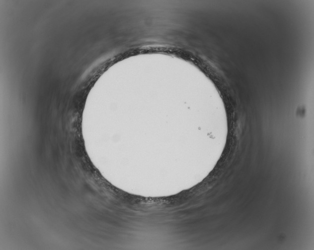 X0000115481351200912181159