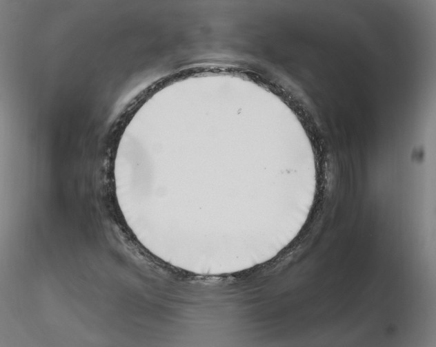 X0000115481352200912181159