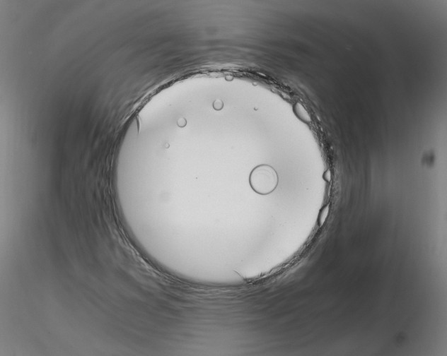 X0000115481353200912181159
