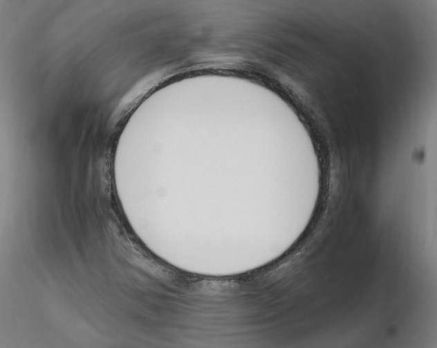 X0000115481354200912181159