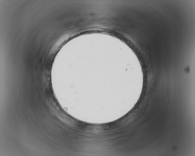 X0000115481355200912181159