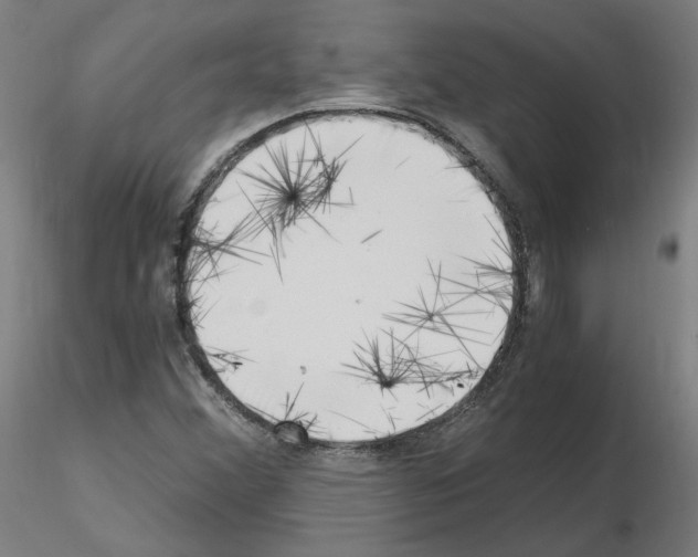 X0000115481356200912181159