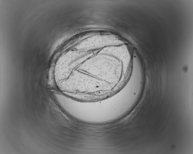 X0000115481357200912181159