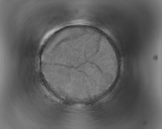 X0000115481358200912181159