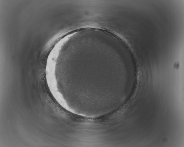 X0000115481359200912181159