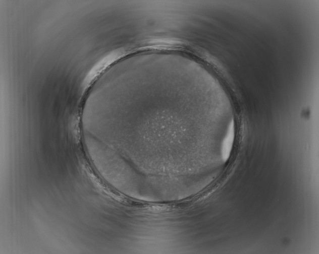 X0000115481362200912181159