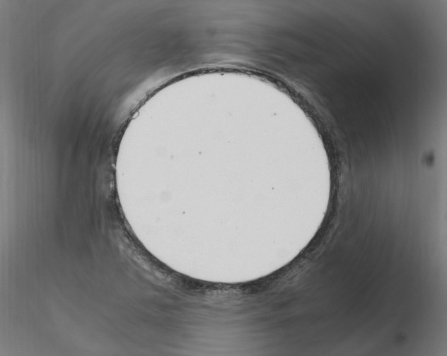X0000115481363200912181159