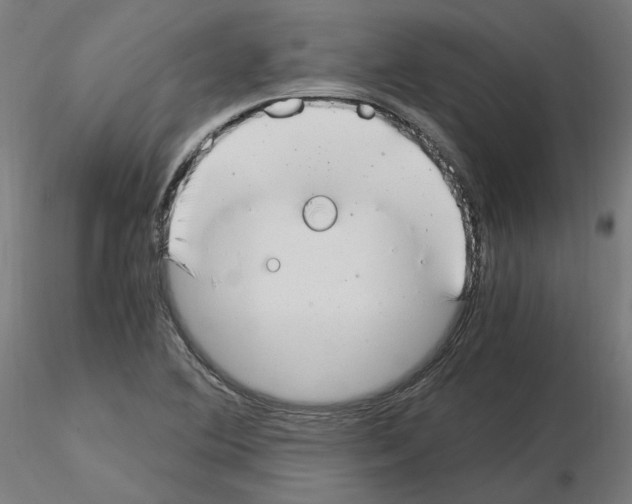 X0000115481364200912181159