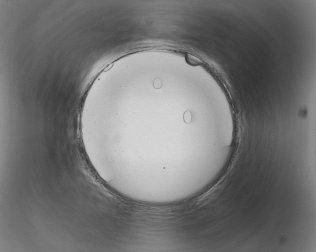 X0000115481365200912181159