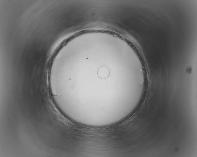 X0000115481368200912181159