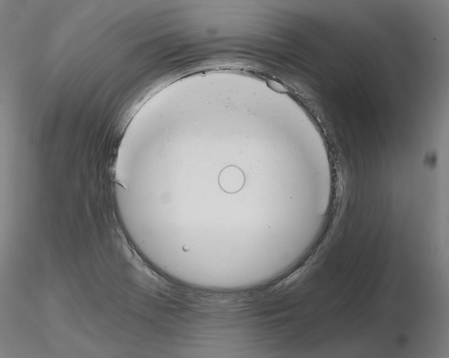 X0000115481369200912181159