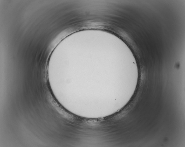 X0000115481370200912181159