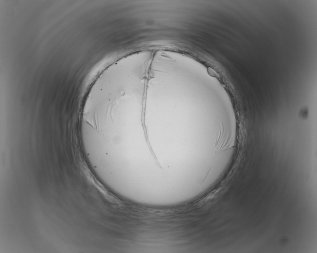X0000115481373200912181159