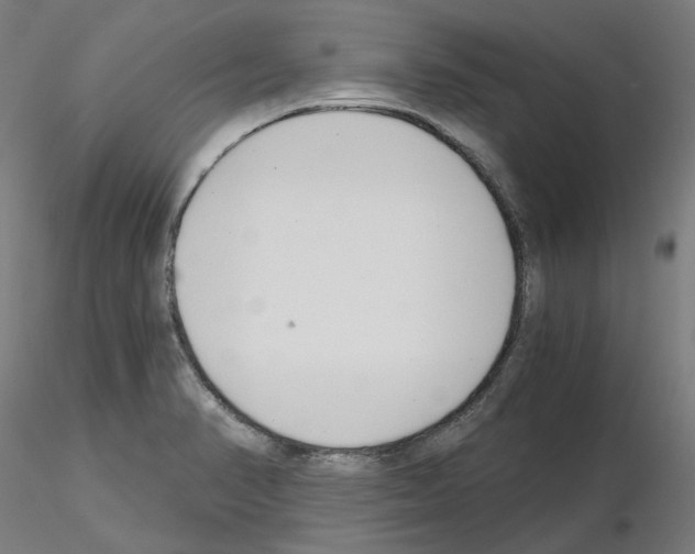 X0000115481374200912181159