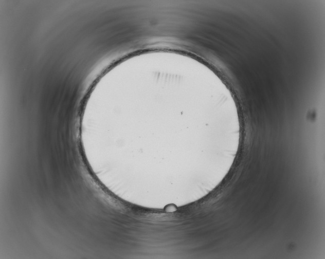 X0000115481376200912181159