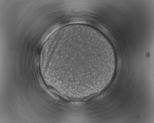 X0000115481377200912181159