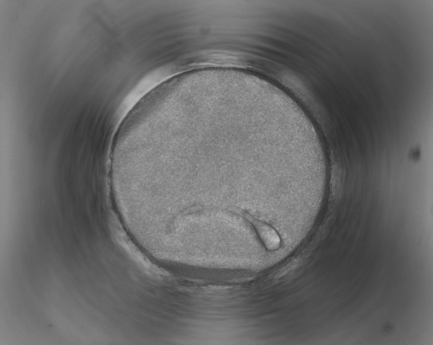 X0000115481378200912181159