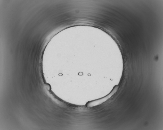 X0000115481379200912181159