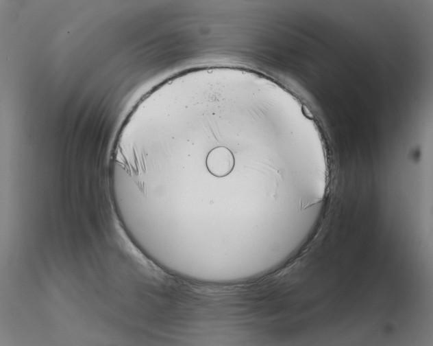 X0000115481380200912181159