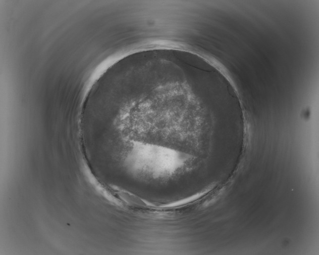 X0000115481381200912181159