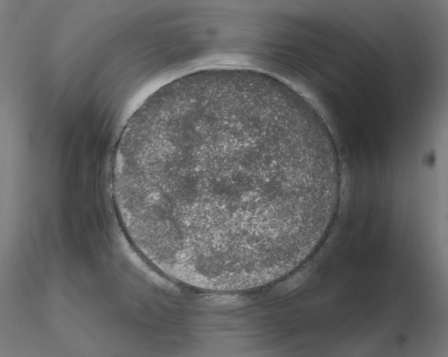 X0000115481382200912181159