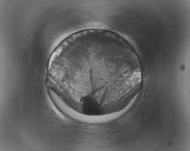 X0000115481383200912181159