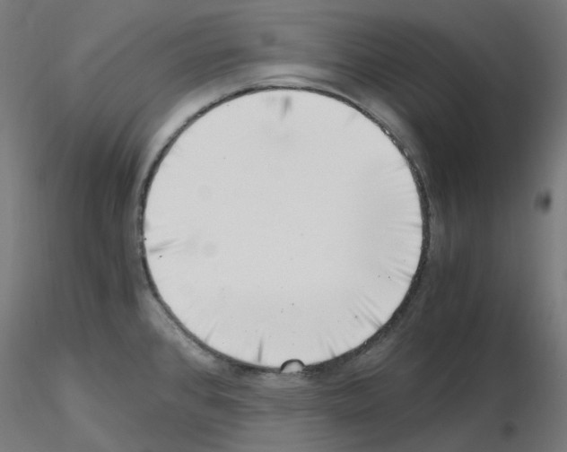 X0000115481384200912181159