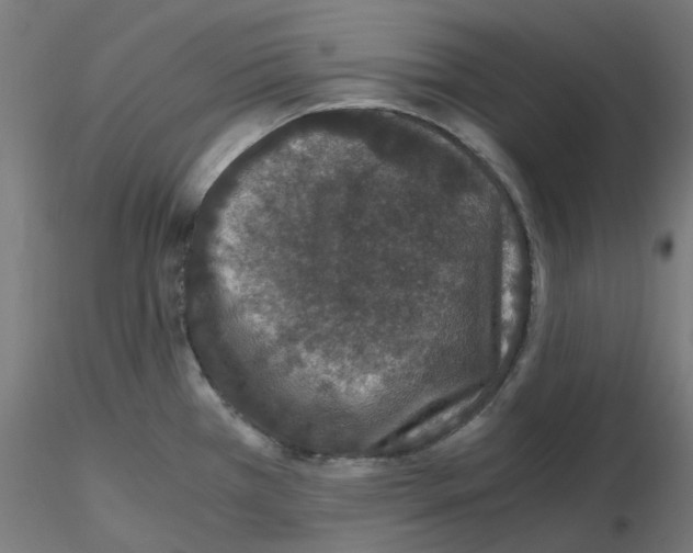 X0000115481385200912181159