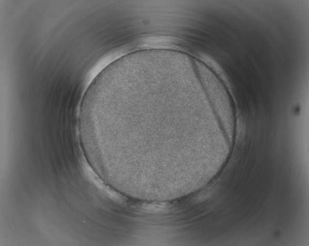 X0000115481386200912181159