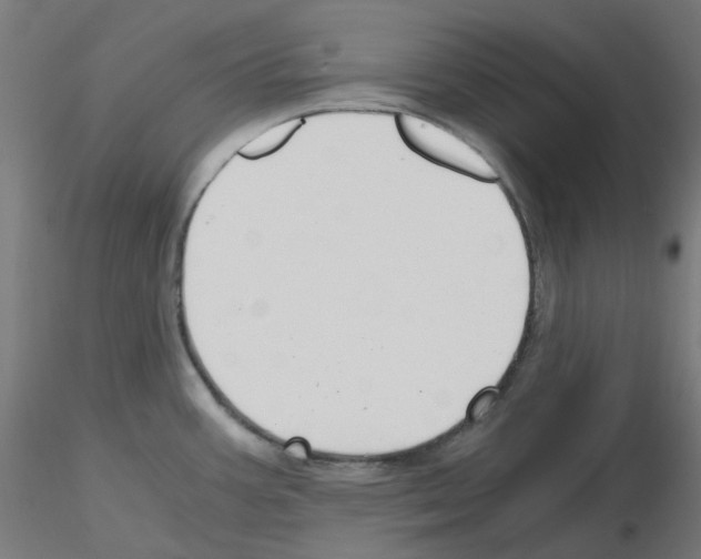X0000115481387200912181159