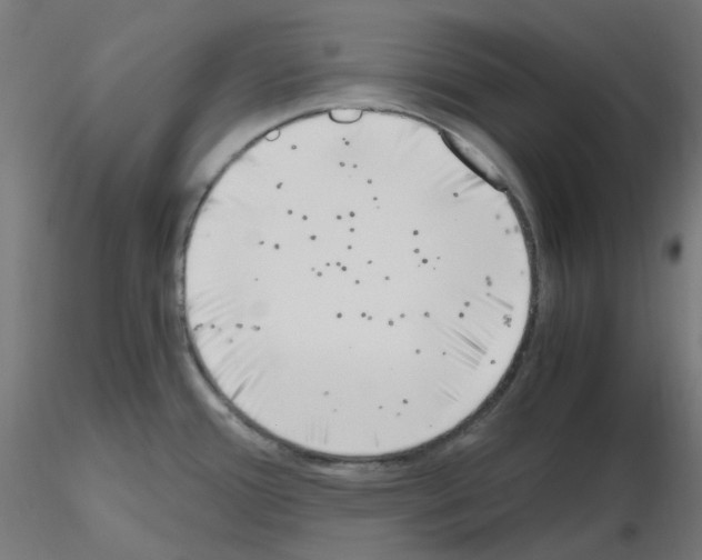 X0000115481388200912181159