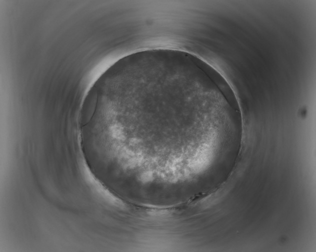 X0000115481389200912181159