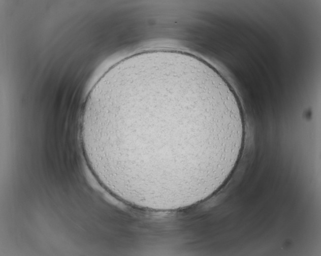 X0000115481390200912181159