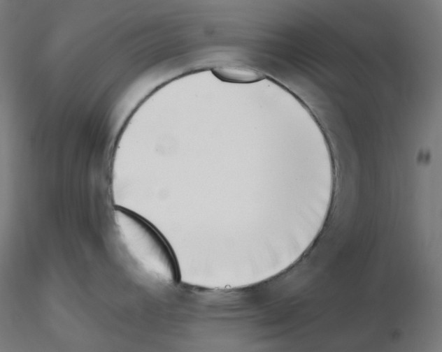 X0000115481392200912181159