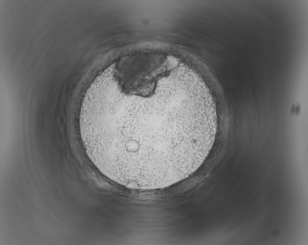 X0000115481393200912181158