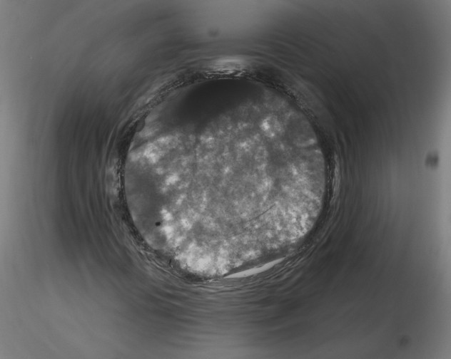 X0000115481394200912181158