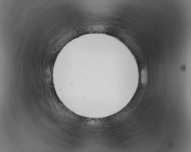 X0000115481395200912181158