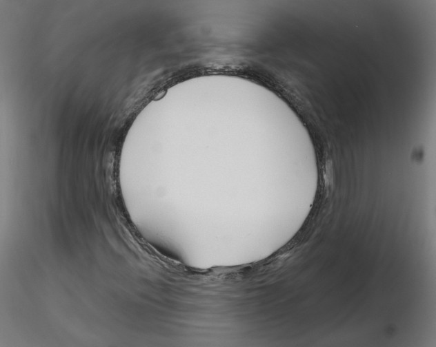 X0000115481396200912181158