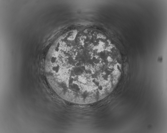 X0000115481397200912181158