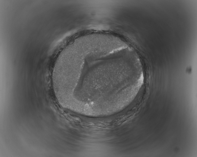 X0000115481398200912181158
