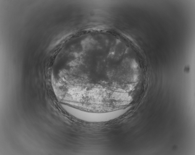 X0000115481399200912181158
