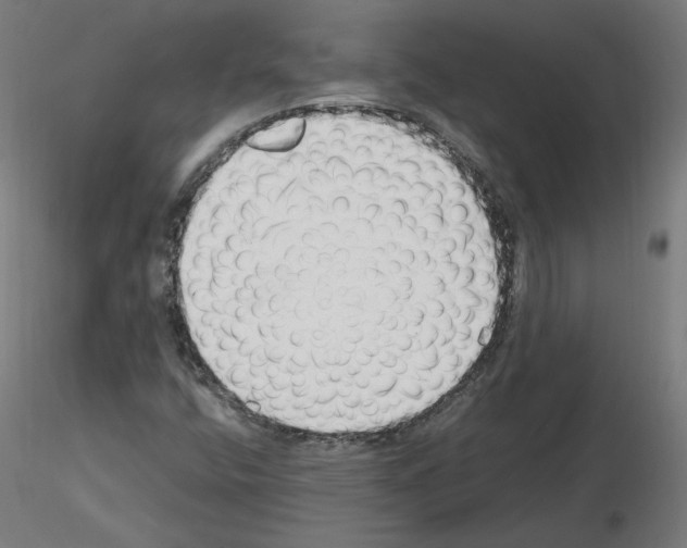 X0000115481400200912181158