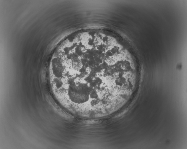 X0000115481401200912181158