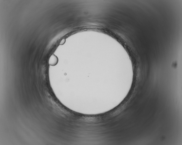 X0000115481402200912181158