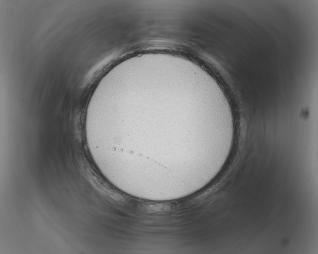 X0000115481403200912181158