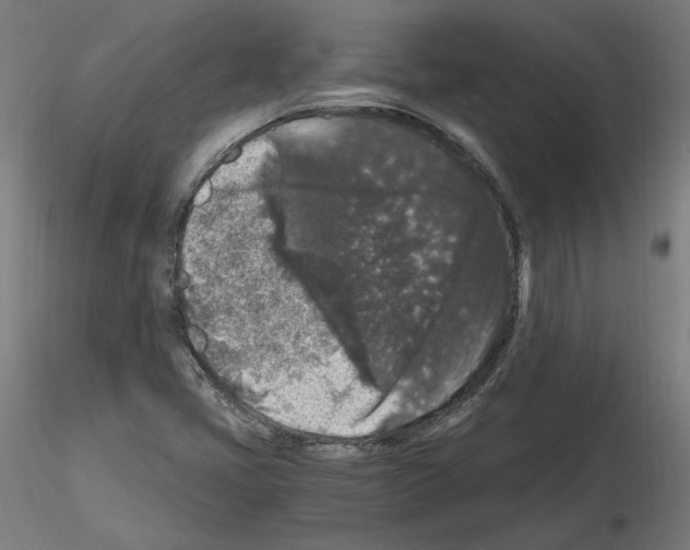 X0000115481405200912181158