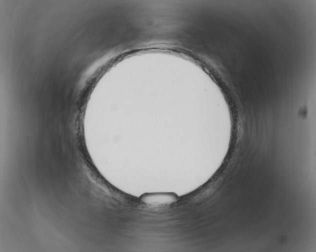 X0000115481406200912181158