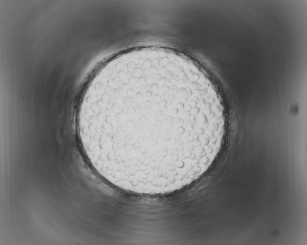 X0000115481408200912181158