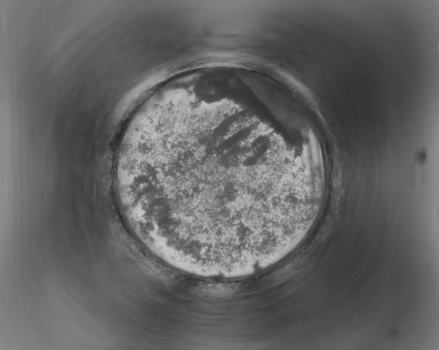 X0000115481411200912181158